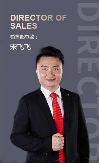 宋飛飛